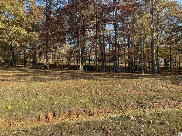 1.79 Acres of Residential Land for Sale in Cadiz, Kentucky