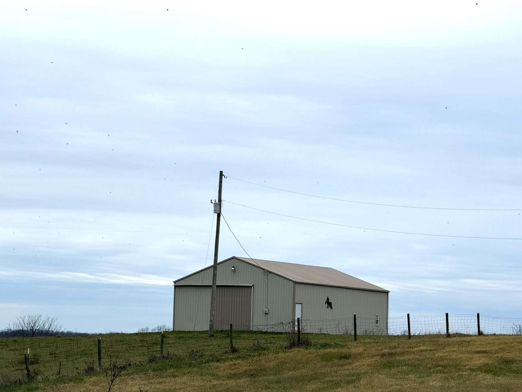 51.3 Acres of Agricultural Land for Sale in Cynthiana, Kentucky