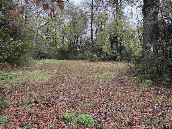 0.26 Acres of Residential Land for Sale in Tyler, Texas