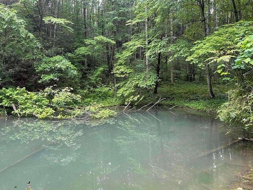 44.6 Acres of Recreational & Residential Land for Sale in Hartford, Tennessee