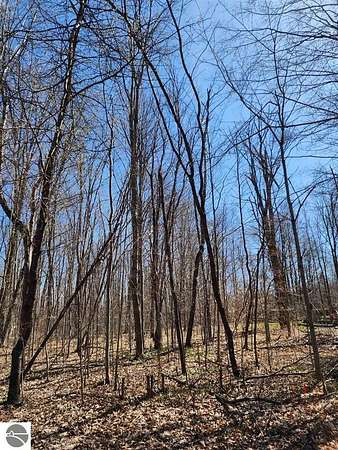 0.58 Acres of Land for Sale in Mancelona, Michigan