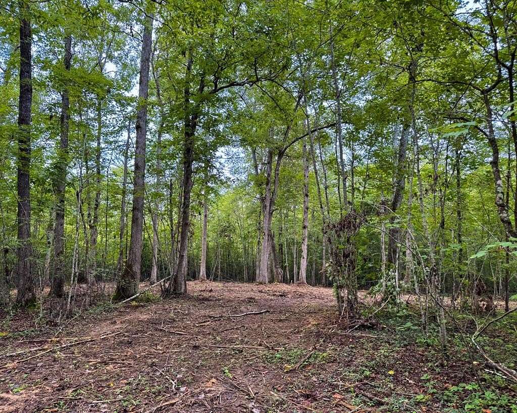 9.22 Acres of Agricultural Land for Sale in Robbins, Tennessee