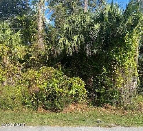 0.23 Acres of Residential Land for Sale in Palm Coast, Florida