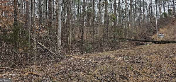 0.59 Acres of Residential Land for Sale in Martin, Georgia