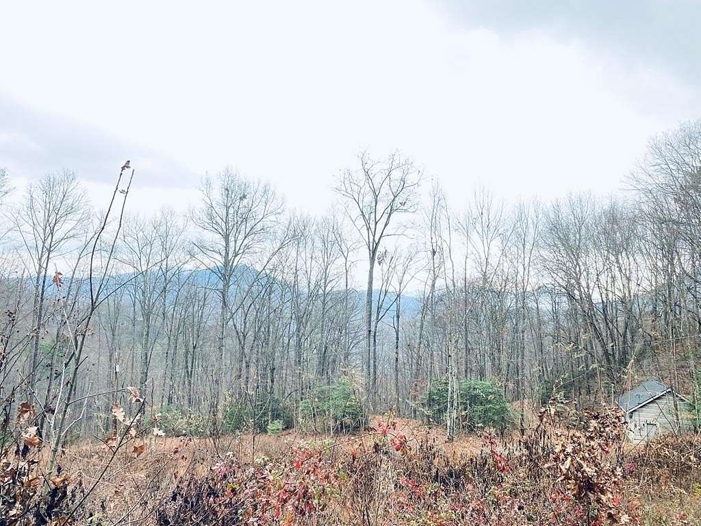 1.3 Acres of Residential Land for Sale in Sylva, North Carolina