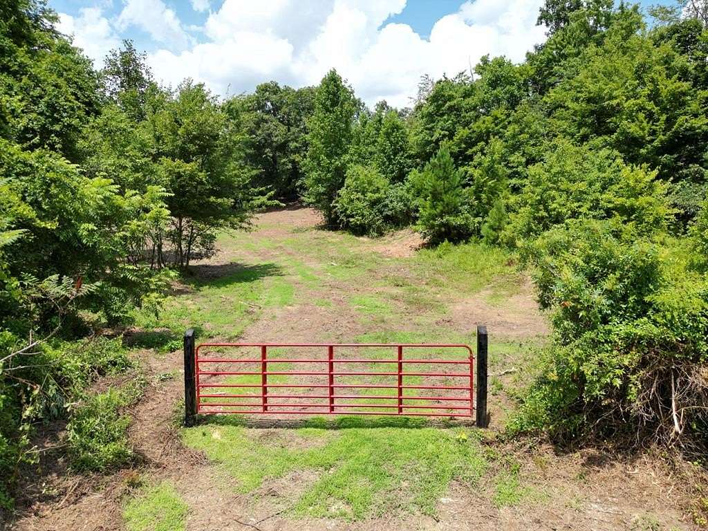 23.8 Acres of Agricultural Land for Sale in Robbins, Tennessee