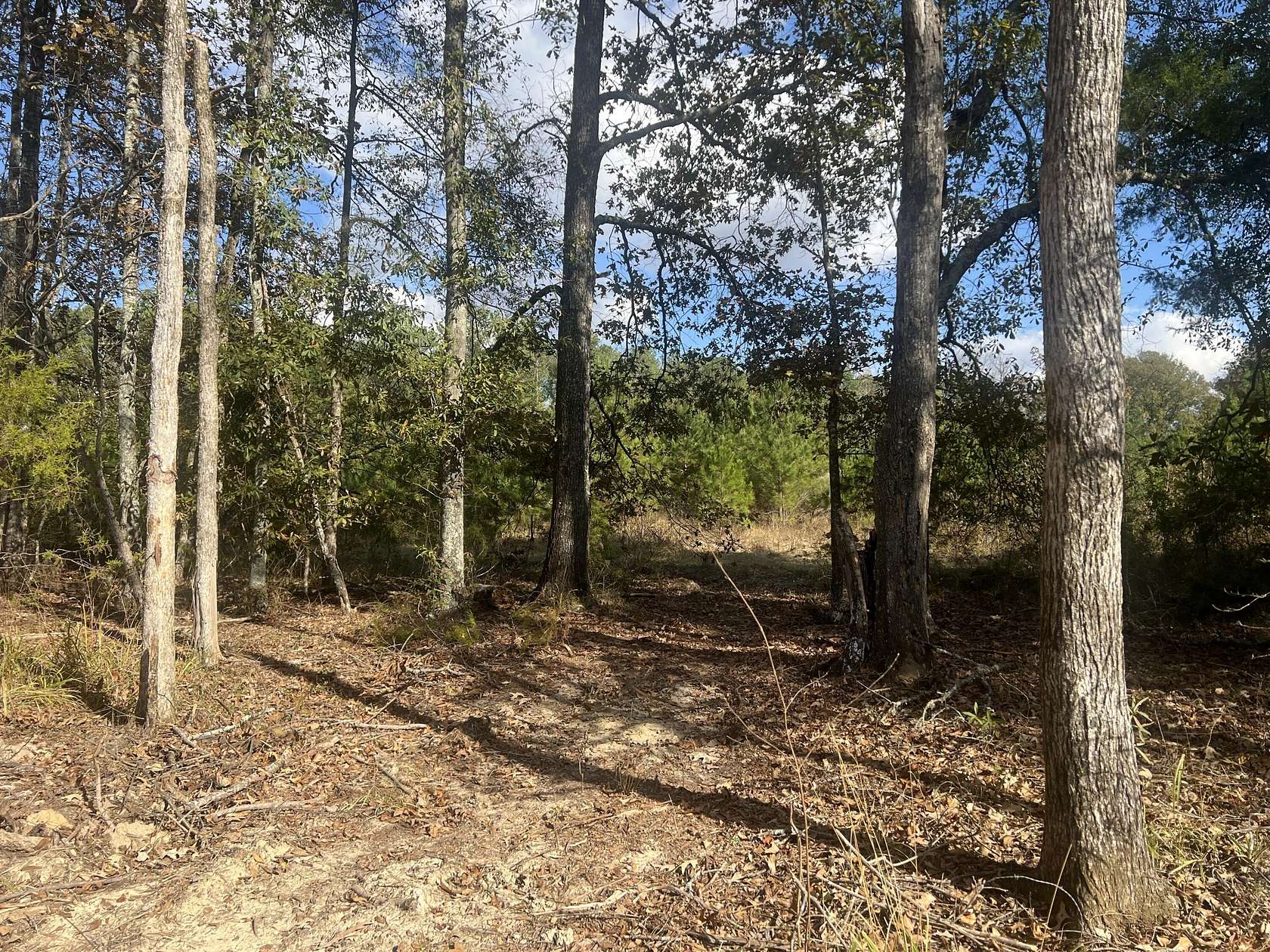 2 Acres of Residential Land for Sale in Okolona, Mississippi