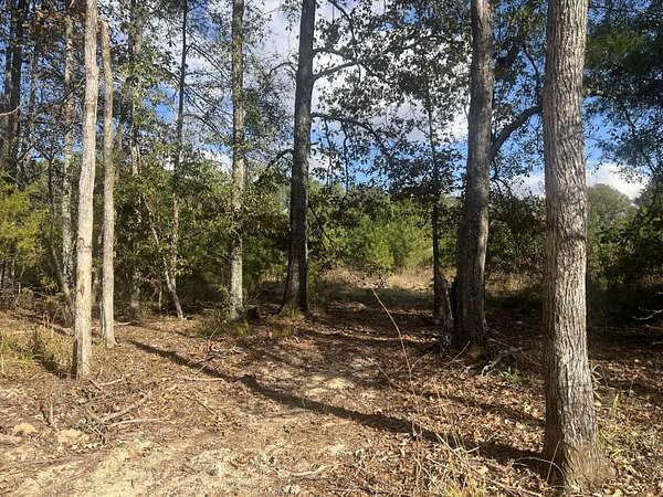2 Acres of Residential Land for Sale in Okolona, Mississippi