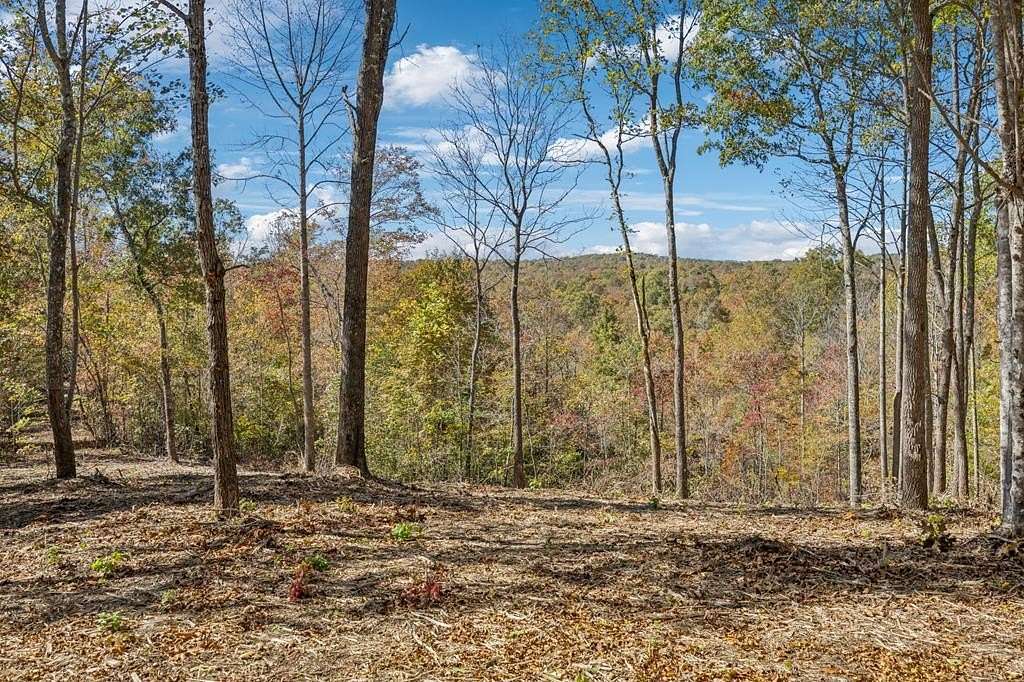 10.9 Acres of Agricultural Land for Sale in Robbins, Tennessee
