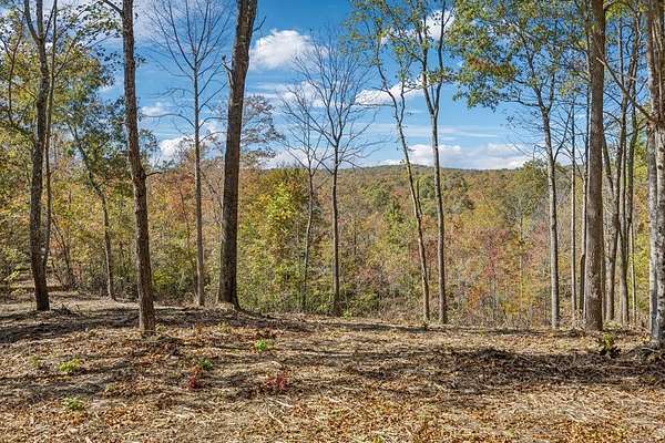 10.9 Acres of Agricultural Land for Sale in Robbins, Tennessee