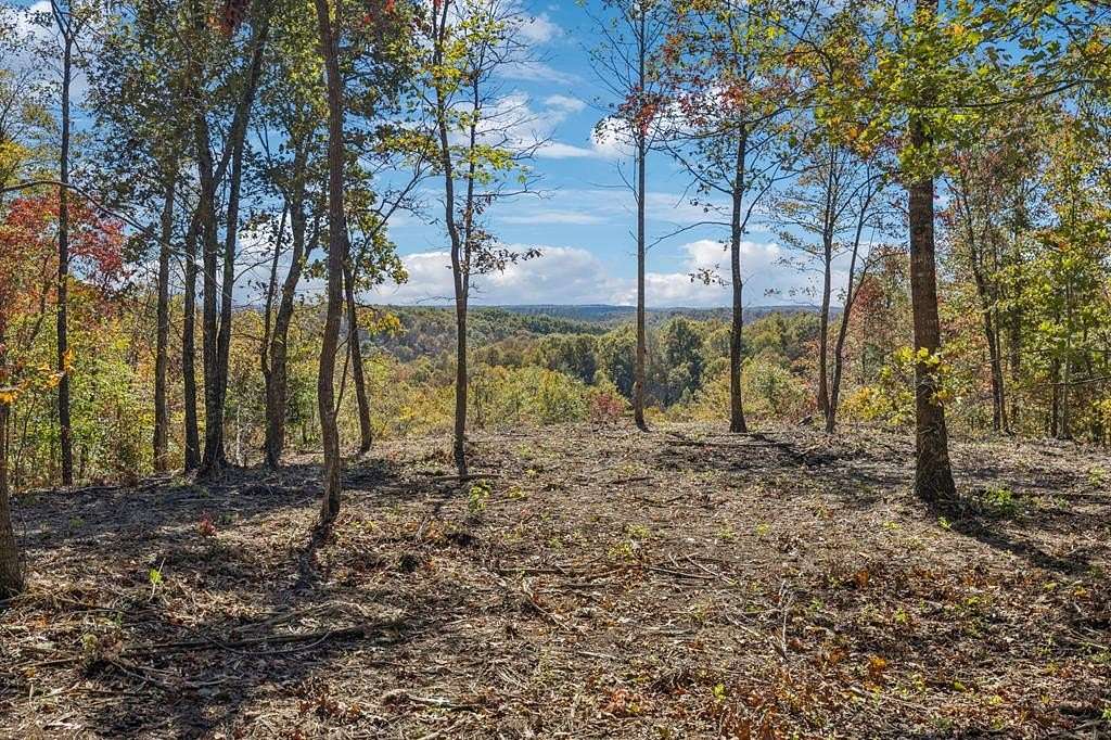 9 Acres of Agricultural Land for Sale in Robbins, Tennessee