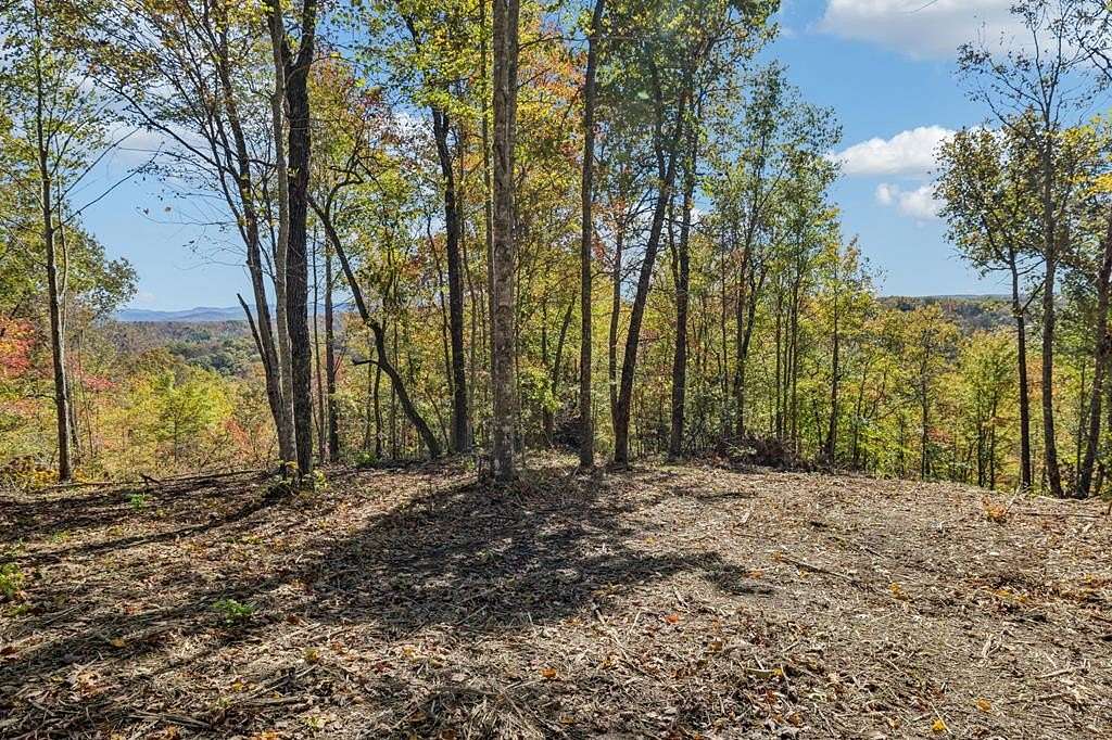 8.59 Acres of Agricultural Land for Sale in Robbins, Tennessee