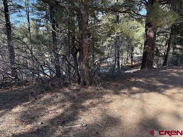 0.28 Acres of Residential Land for Sale in Pagosa Springs, Colorado