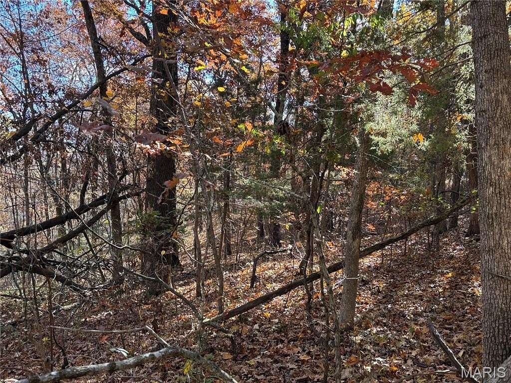 0.32 Acres of Residential Land for Sale in Bonne Terre, Missouri