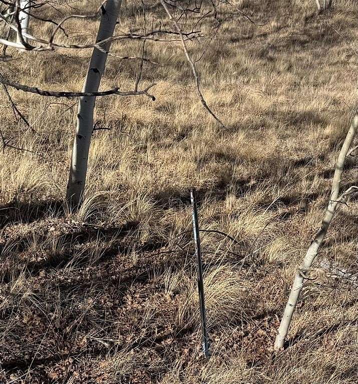 3.16 Acres of Residential Land for Sale in Jefferson, Colorado