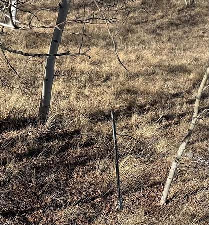 3.16 Acres of Residential Land for Sale in Jefferson, Colorado