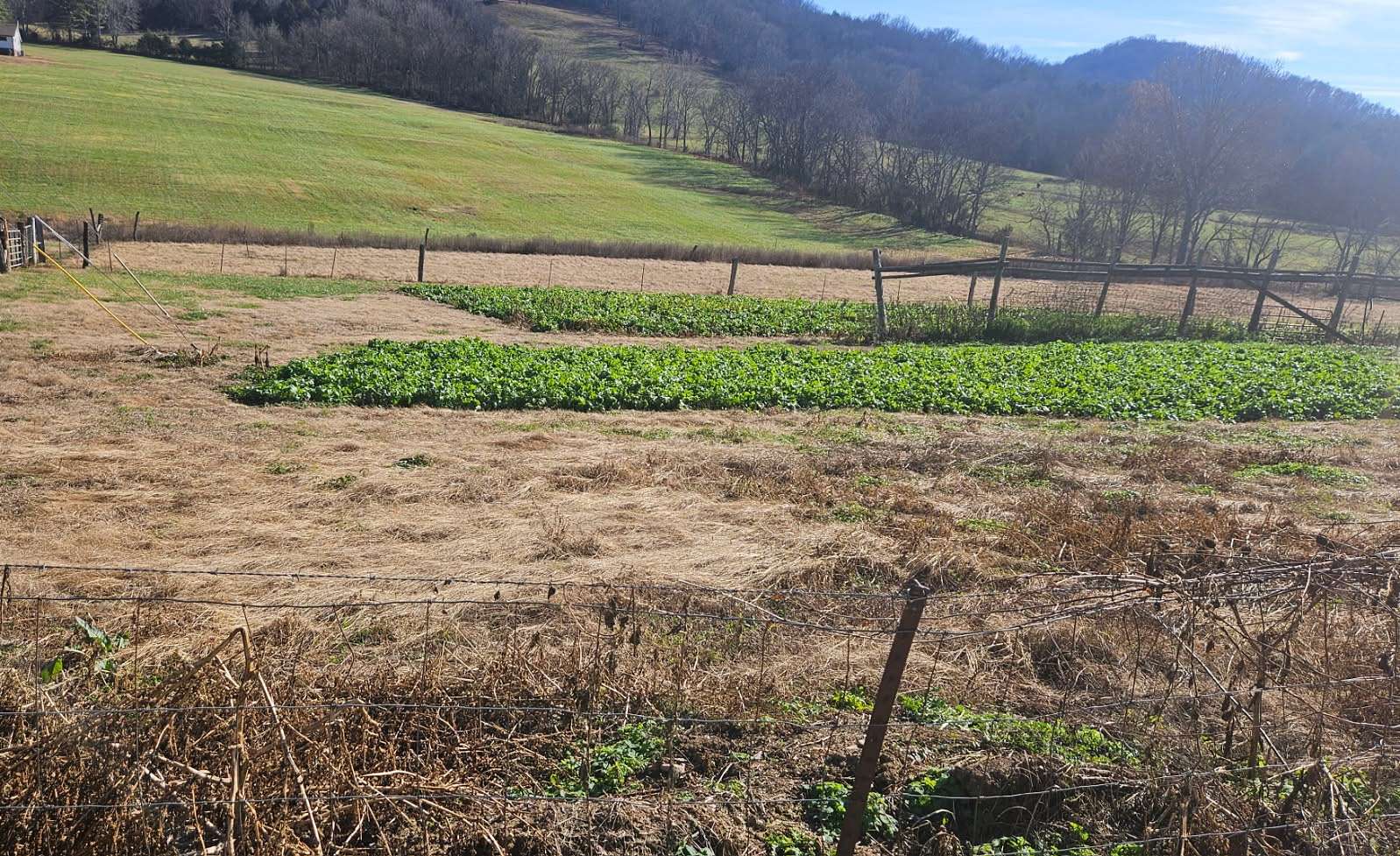 3.45 Acres of Residential Land for Sale in Riddleton, Tennessee