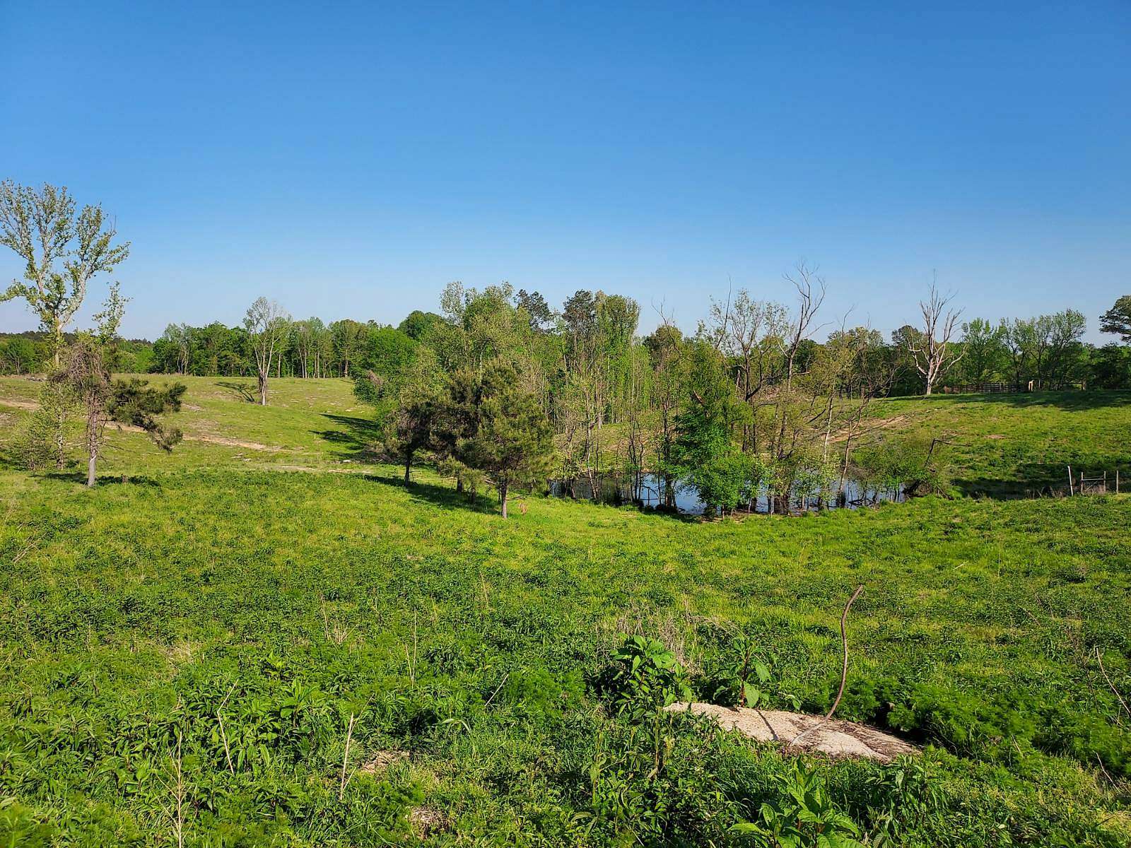 58 Acres of Land for Sale in Charleston, Mississippi