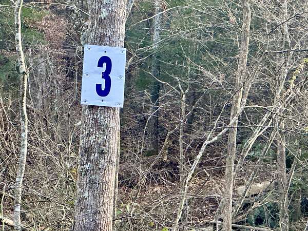 0.55 Acres of Land for Sale in East Bernstadt, Kentucky