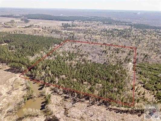 40.5 Acres of Recreational Land for Sale in Texarkana, Arkansas