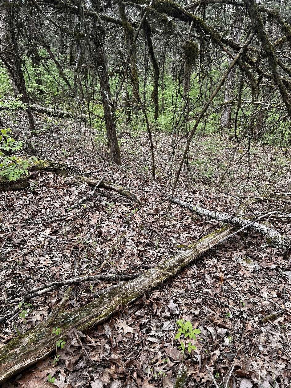 0.29 Acres of Residential Land for Sale in Lynchburg, Tennessee