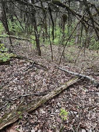0.29 Acres of Residential Land for Sale in Lynchburg, Tennessee