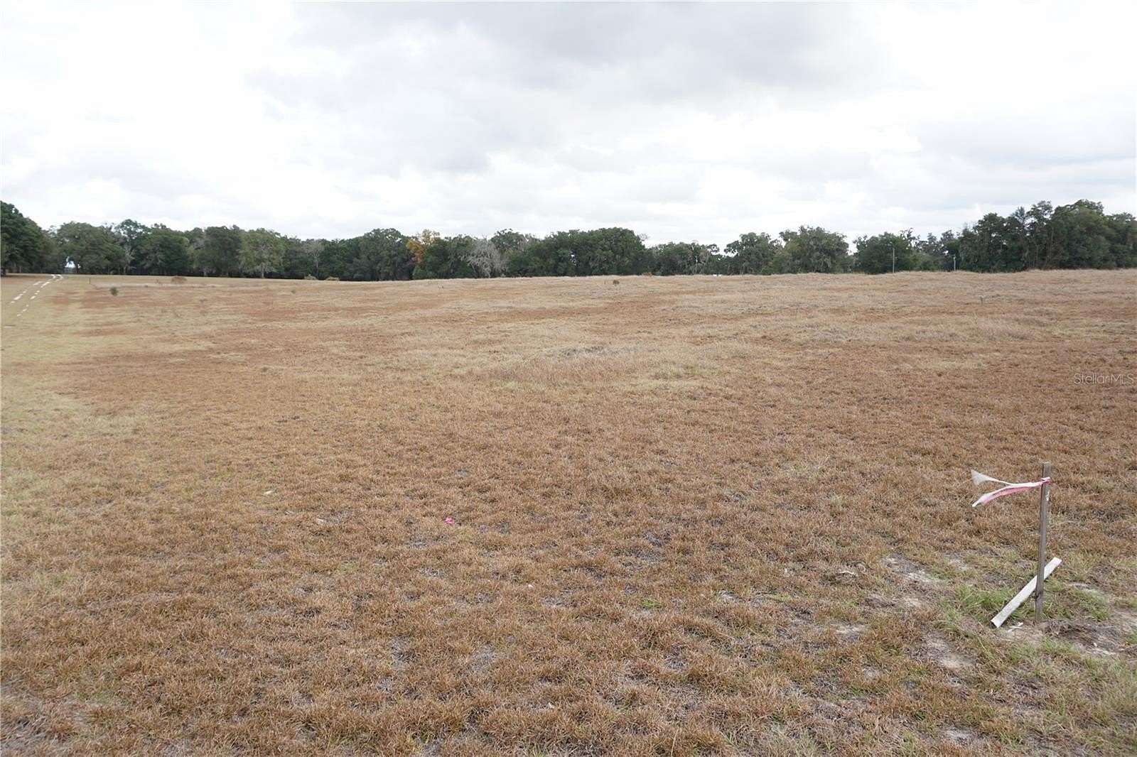 10.4 Acres of Land for Sale in Citra, Florida