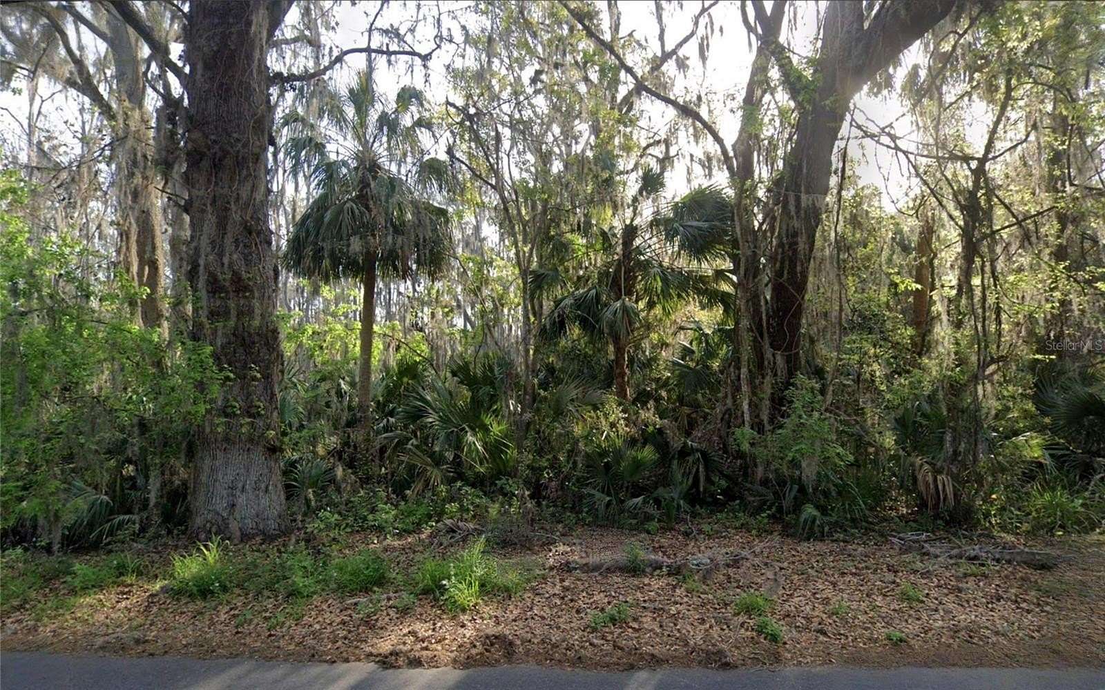 1.32 Acres of Residential Land for Sale in Leesburg, Florida