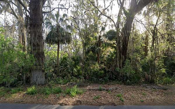 1.32 Acres of Residential Land for Sale in Leesburg, Florida