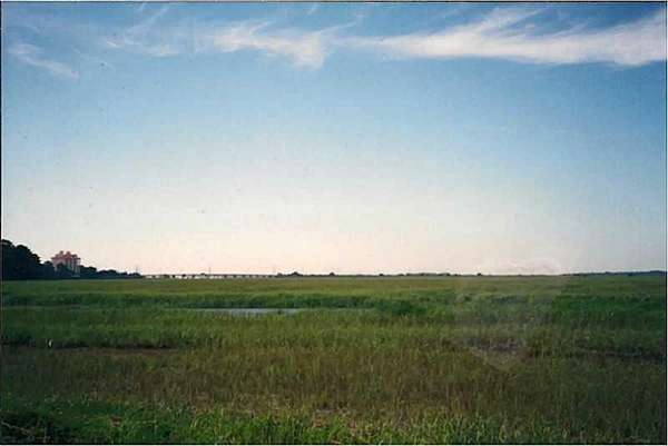 0.38 Acres of Residential Land for Sale in Savannah, Georgia