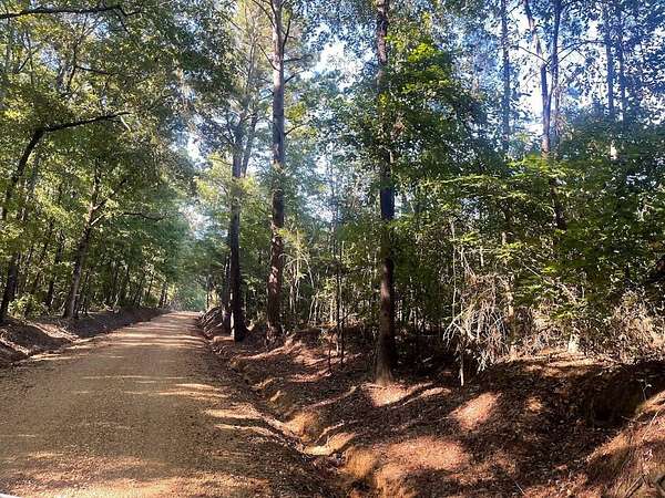 117 Acres of Recreational Land for Sale in Maben, Mississippi