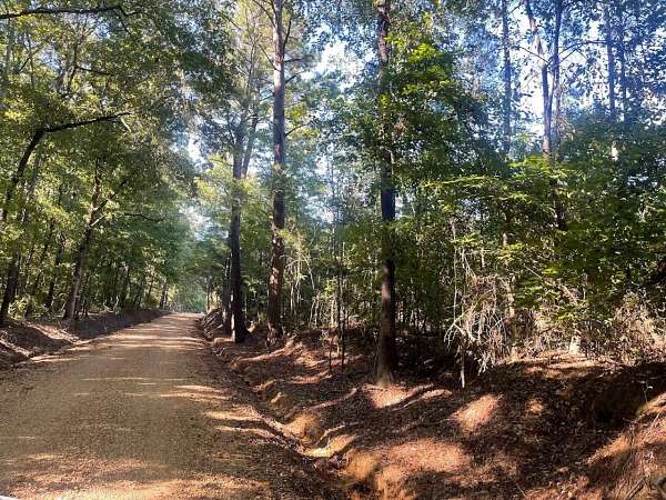 117 Acres of Recreational Land for Sale in Maben, Mississippi