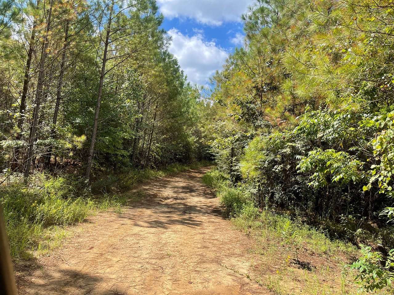 475 Acres of Recreational Land for Sale in Coffeeville, Mississippi