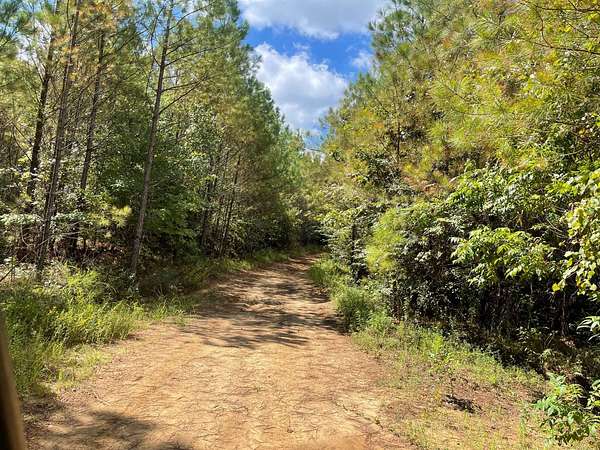 475 Acres of Recreational Land for Sale in Coffeeville, Mississippi