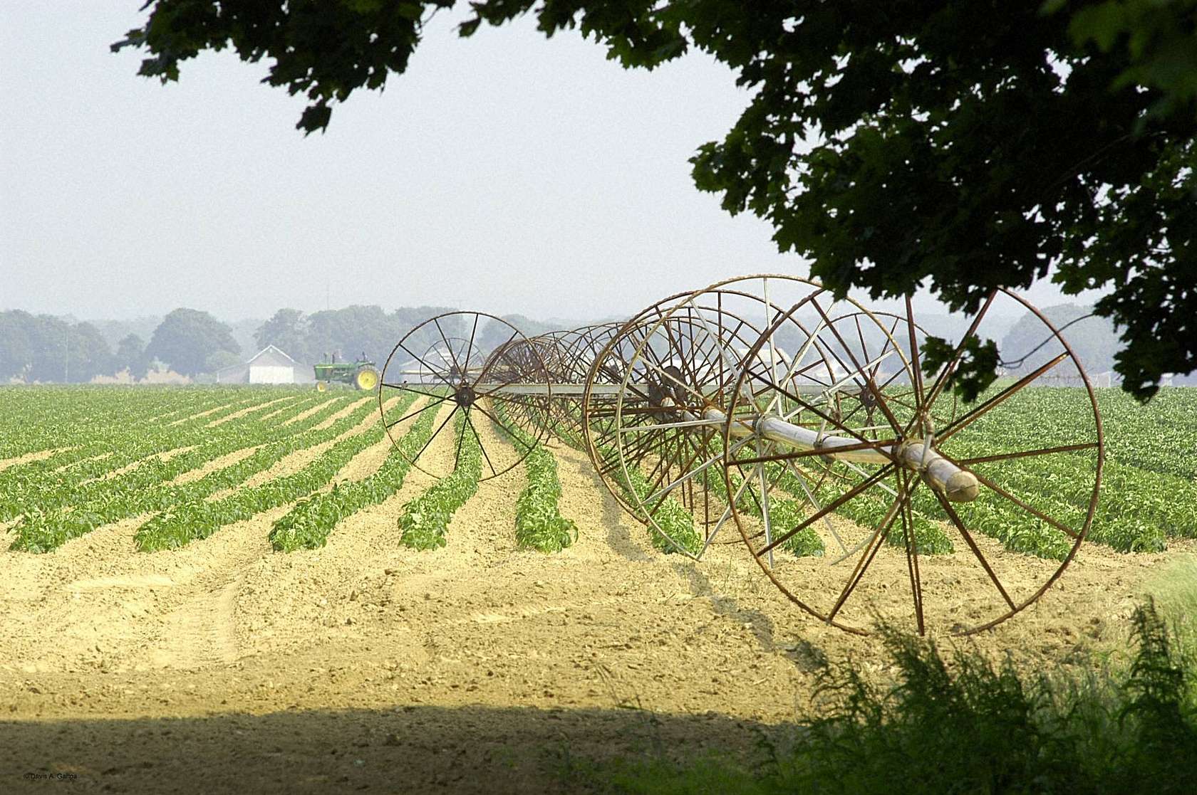 30 Acres of Agricultural Land for Sale in Cutchogue, New York