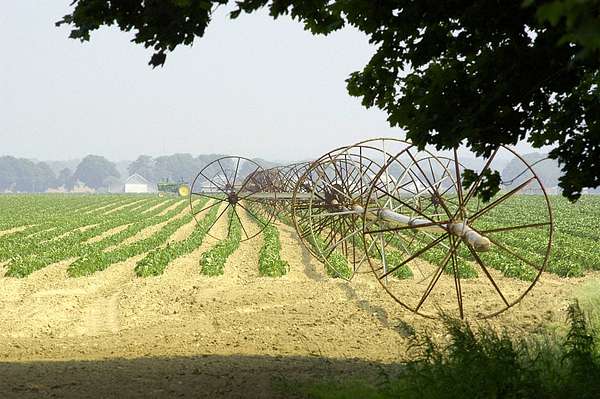 30 Acres of Agricultural Land for Sale in Cutchogue, New York