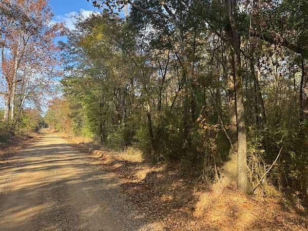 120 Acres of Recreational Land for Sale in Kosciusko, Mississippi