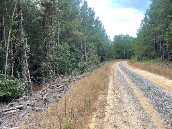 82 Acres of Recreational Land for Sale in Carthage, Mississippi