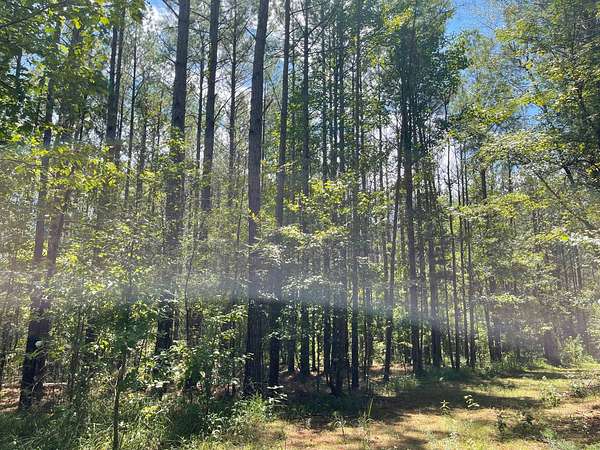 246 Acres of Recreational Land for Sale in Grenada, Mississippi