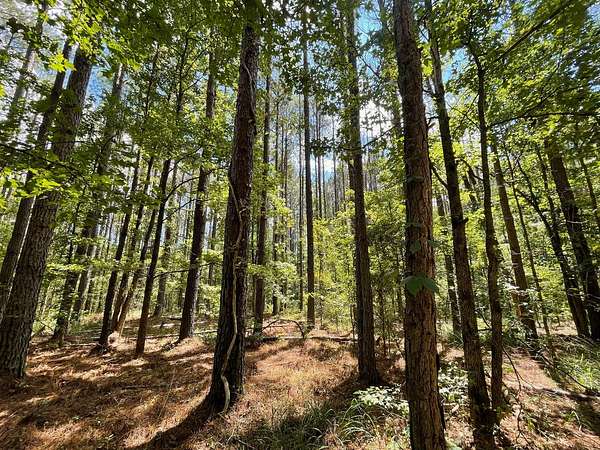 246 Acres of Recreational Land for Sale in Grenada, Mississippi
