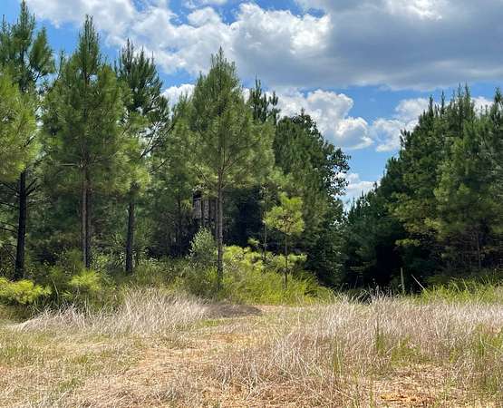 159 Acres of Recreational Land for Sale in Grenada, Mississippi