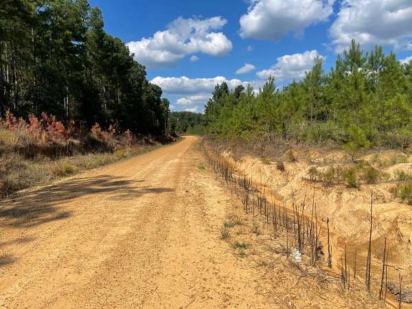 159 Acres of Recreational Land for Sale in Grenada, Mississippi