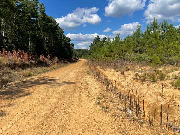 159 Acres of Recreational Land for Sale in Grenada, Mississippi