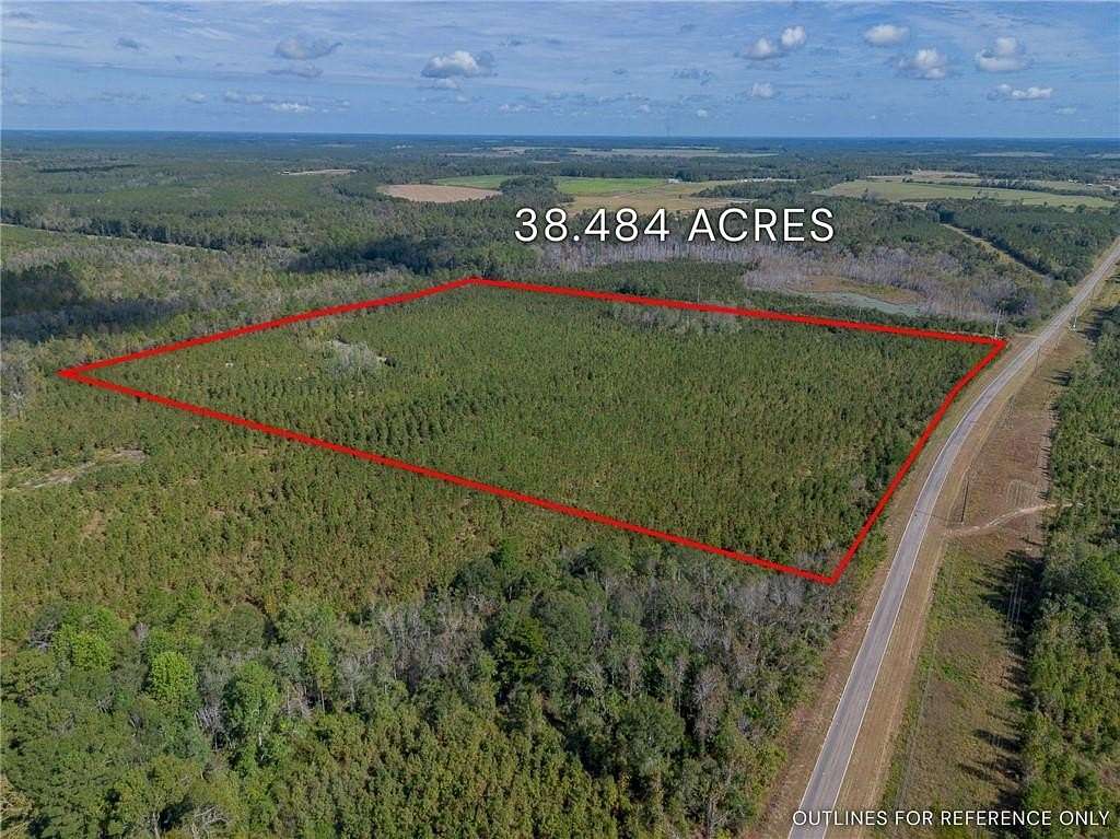 38.5 Acres of Recreational Land for Sale in Jacksonville, Georgia