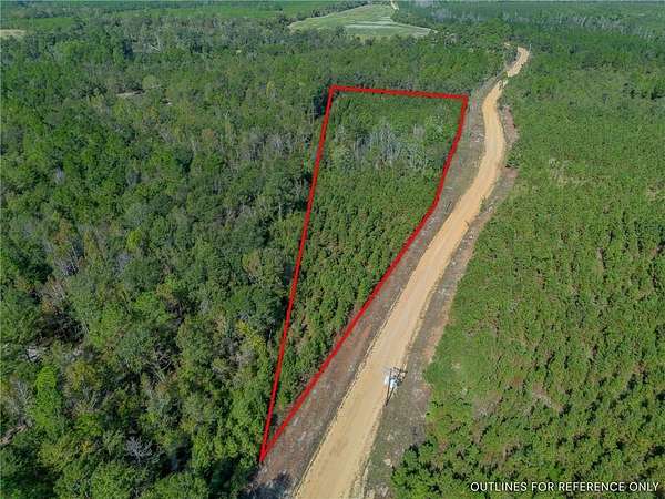 4.4 Acres of Residential Land for Sale in Jacksonville, Georgia