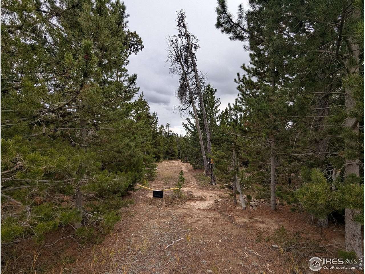 1.34 Acres of Land for Sale in Red Feather Lakes, Colorado