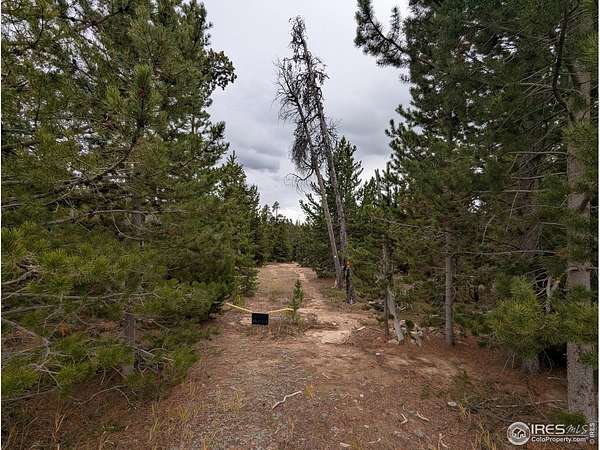 1.34 Acres of Land for Sale in Red Feather Lakes, Colorado