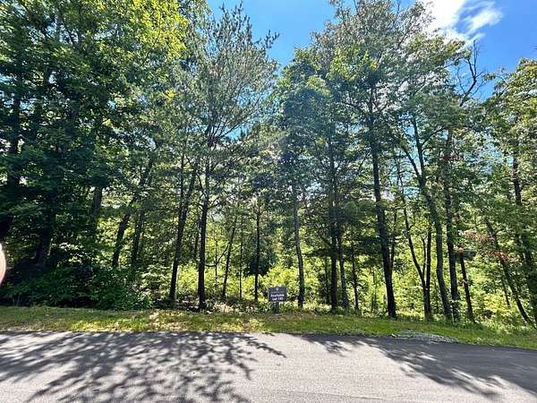 0.5 Acres of Residential Land for Sale in Mineral Bluff, Georgia