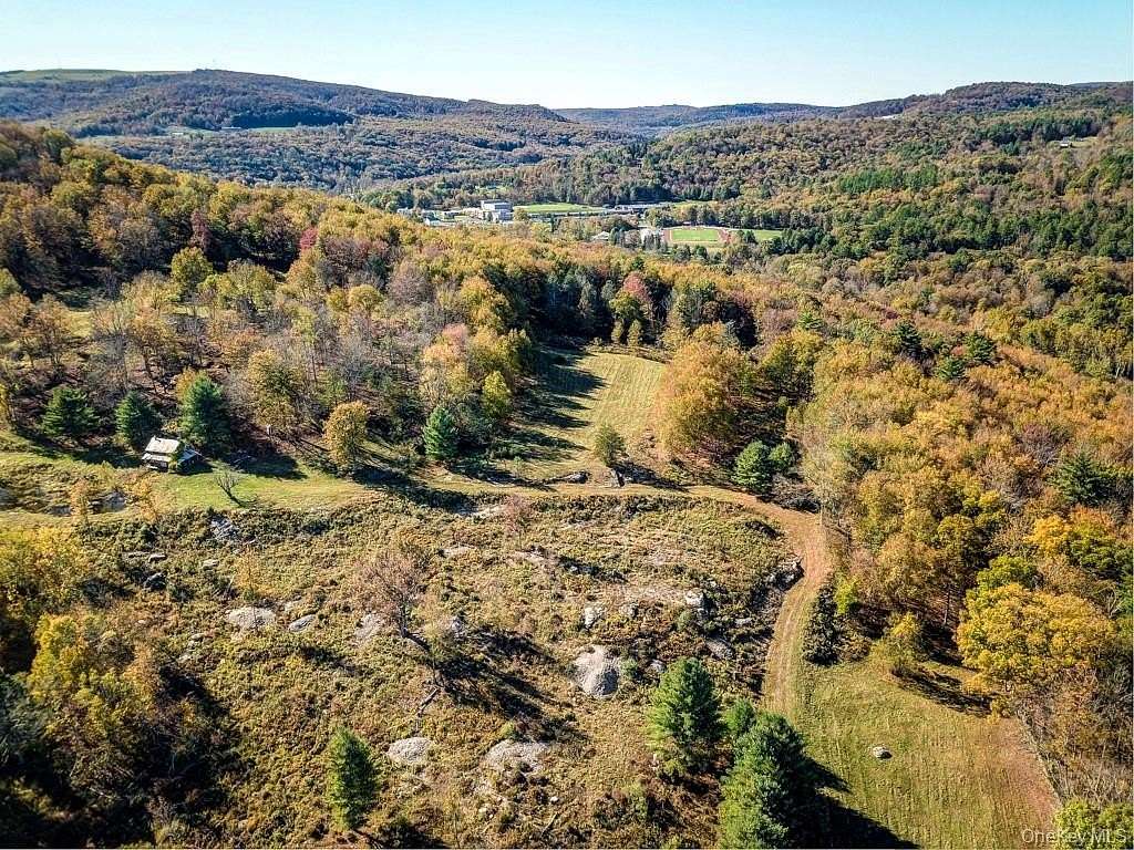 83.1 Acres of Recreational Land for Sale in Neversink, New York