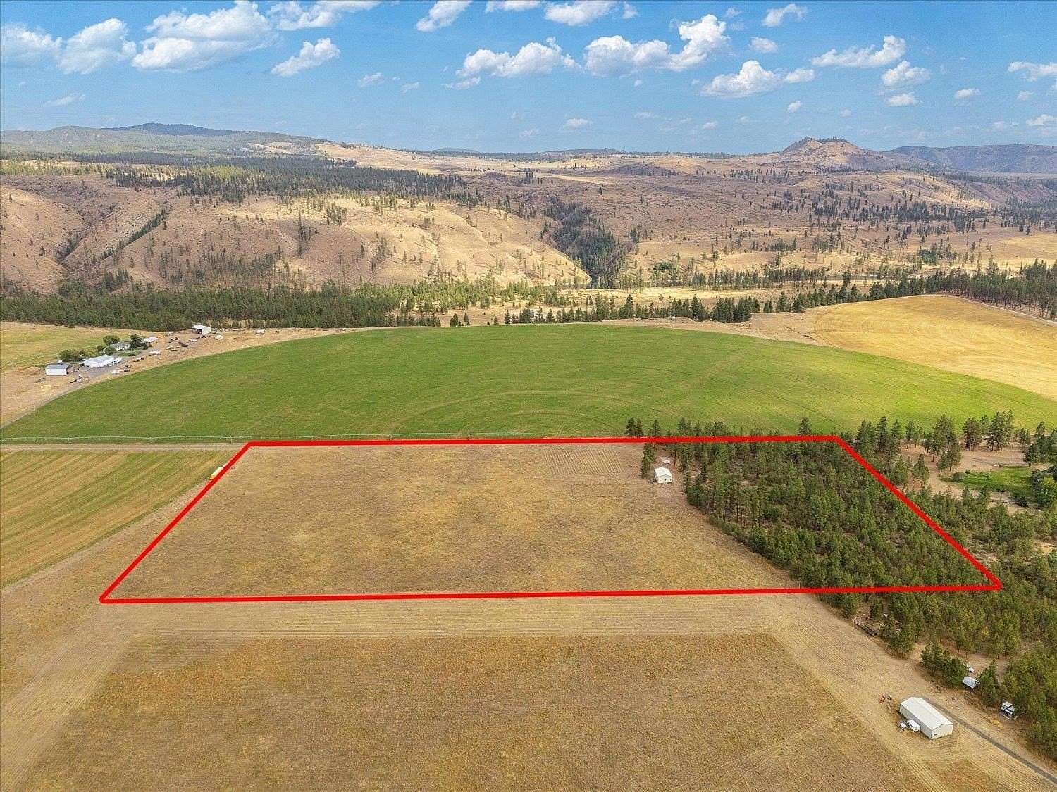 20 Acres of Land for Sale in Davenport, Washington